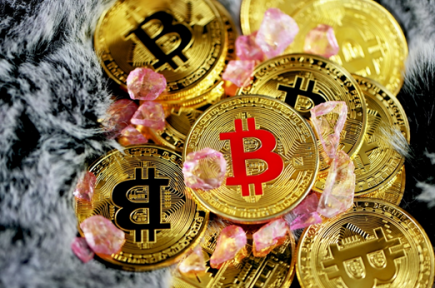 Bitcoin BTC Cryptocurrency Gold Coin Logo 