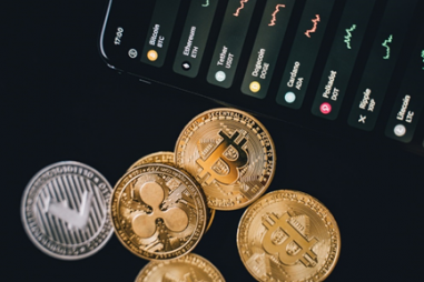 Bitcoin BTC Litecoin LTC Ripple XRP Gold Medallion 